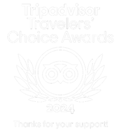el logotipo de la elección de los viajeros de tripadvisor para el año 2021 .