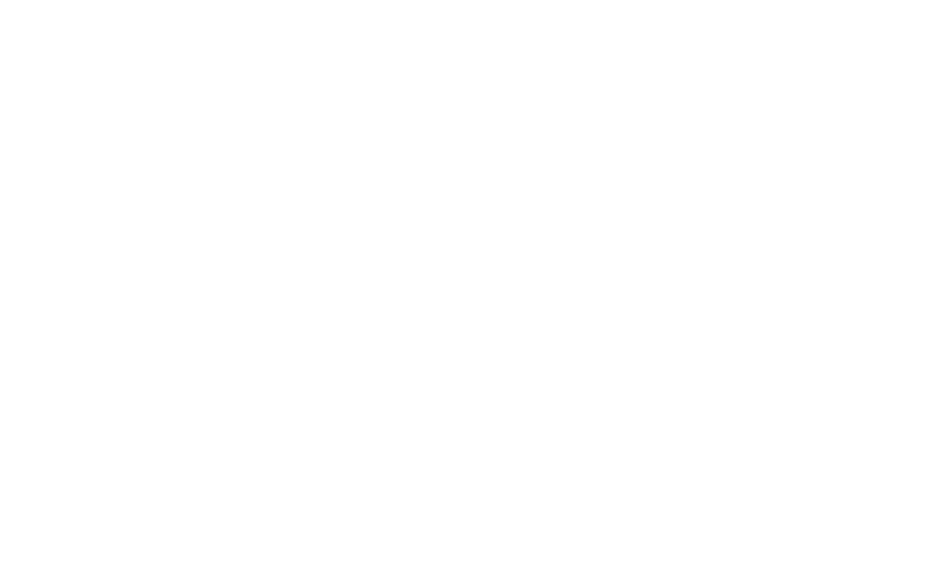 Avis Canarias Logo