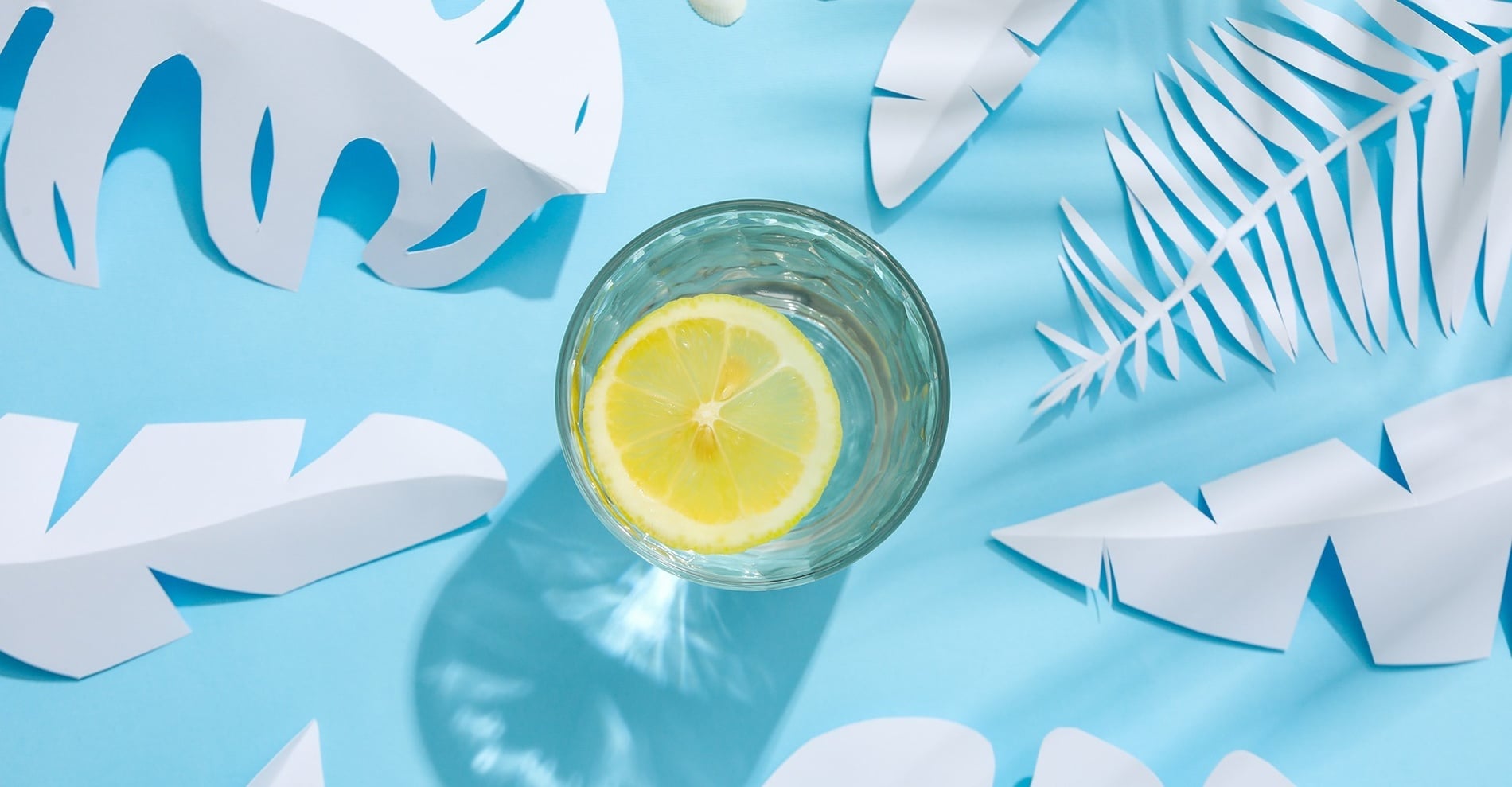 eine Zitronenscheibe in einem Glas