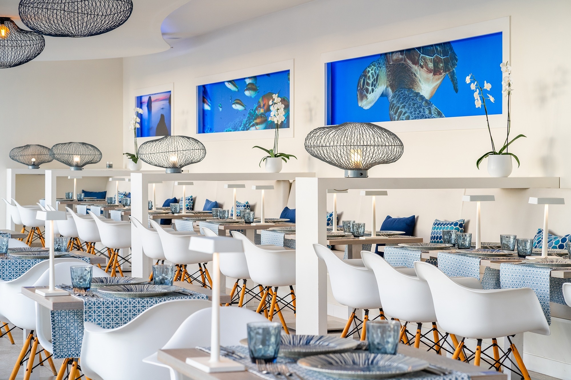 
                                    une salle à manger avec des chaises blanches et des assiettes bleues