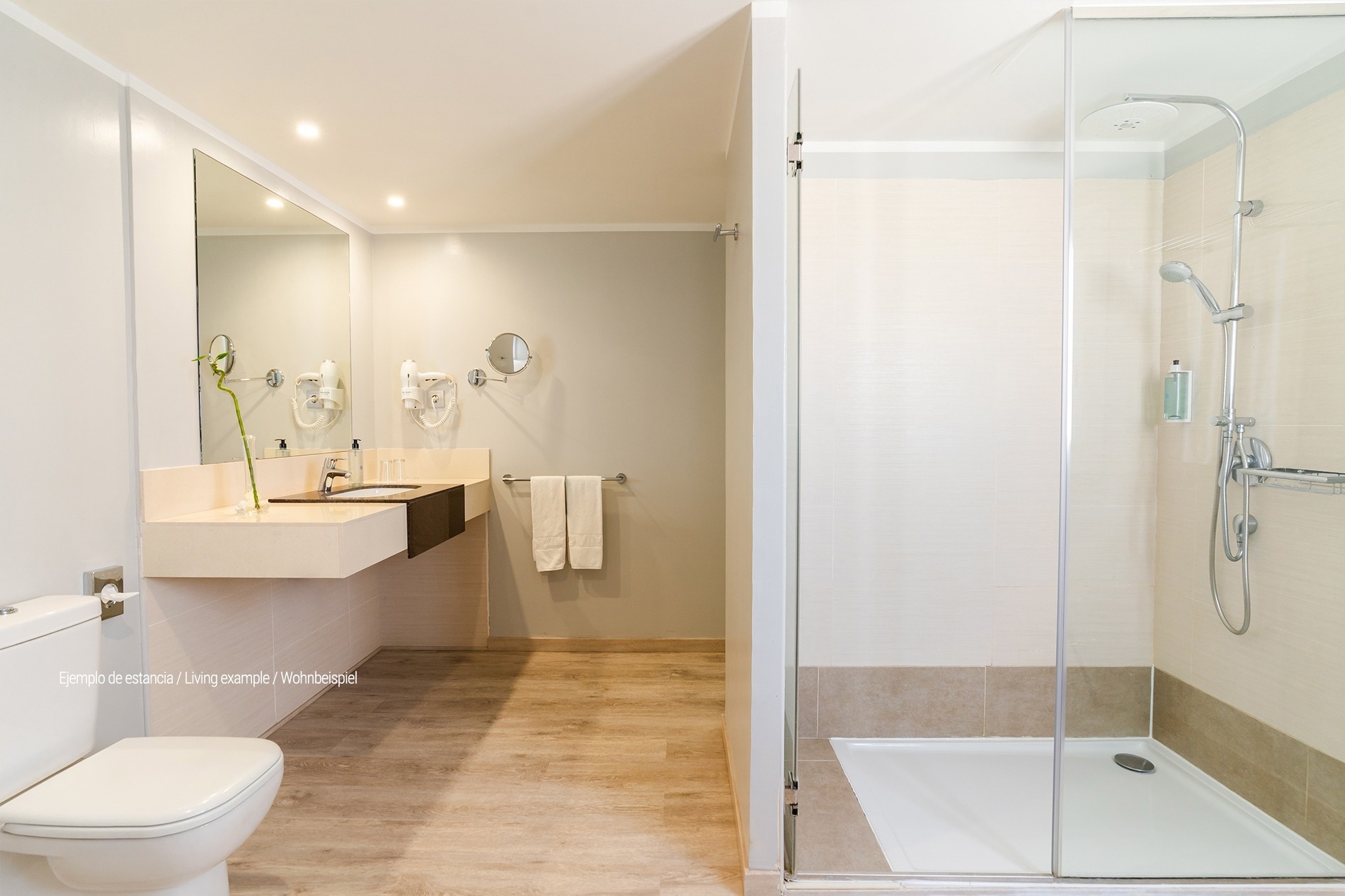 a bathroom with a toilet a sink and a walk in shower