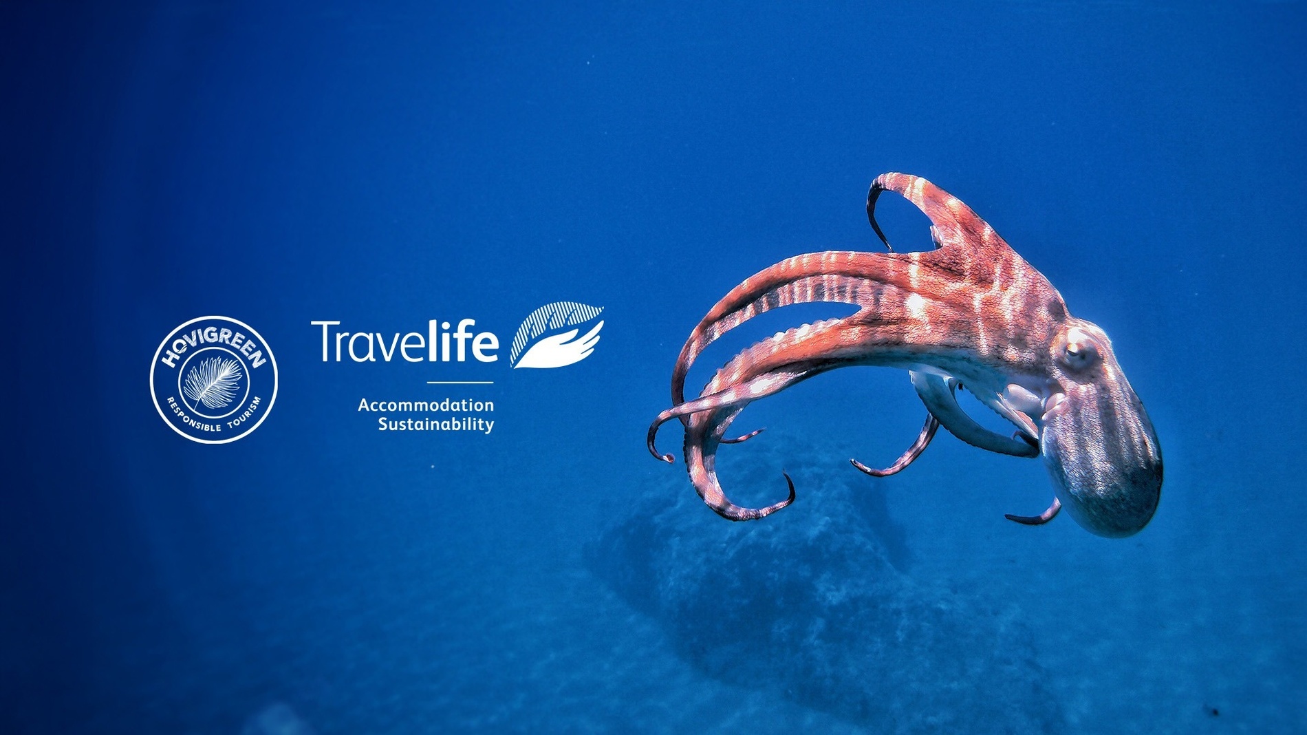 a white building with a view of the ocean