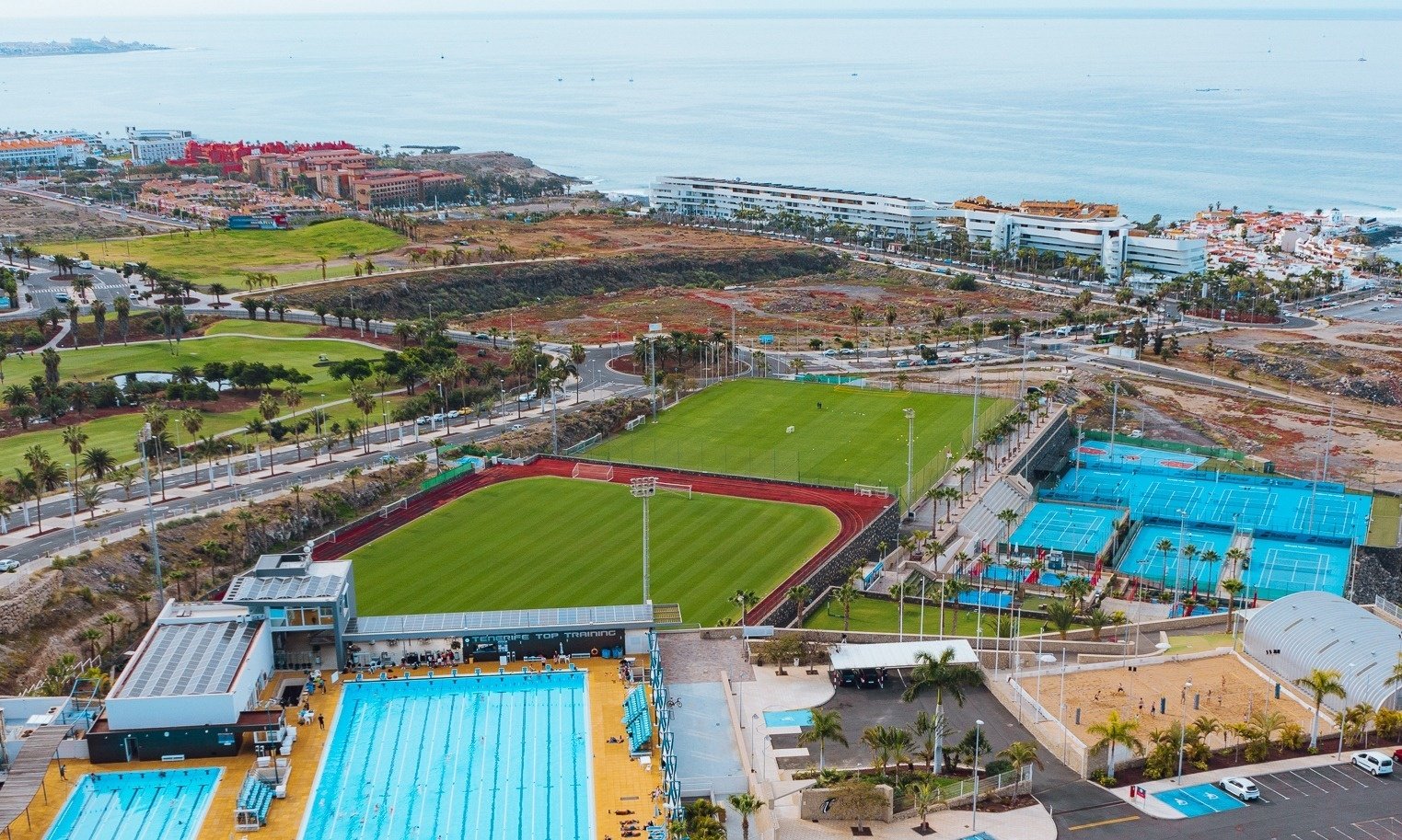 un primer plano de flores amarillas en un árbol