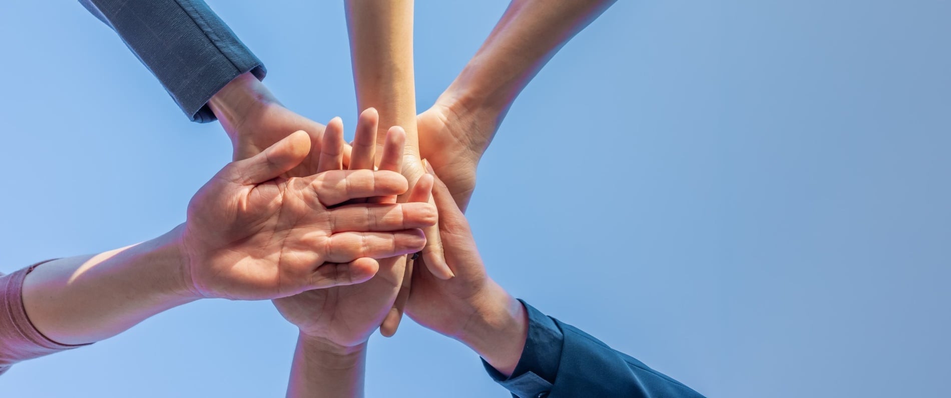 группа людей пожимает друг другу руки