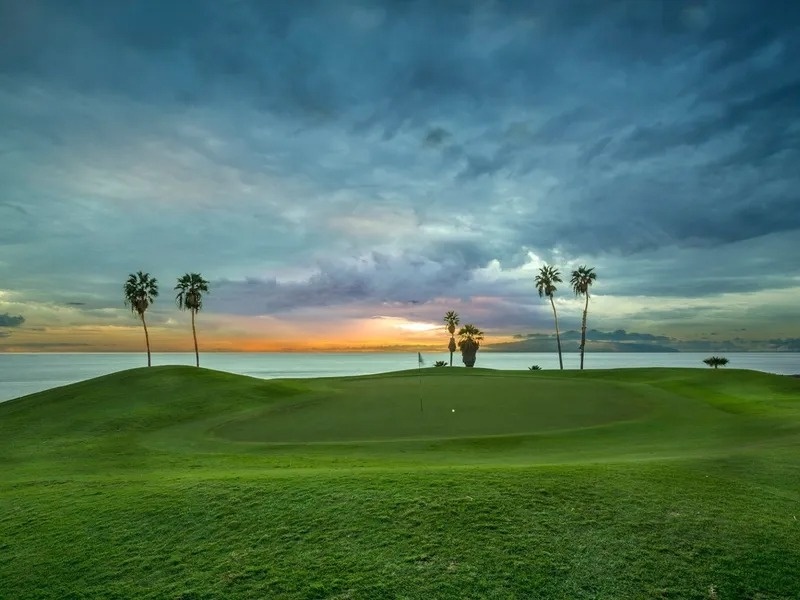 
                                    a golf course with palm trees and a sunset in the background