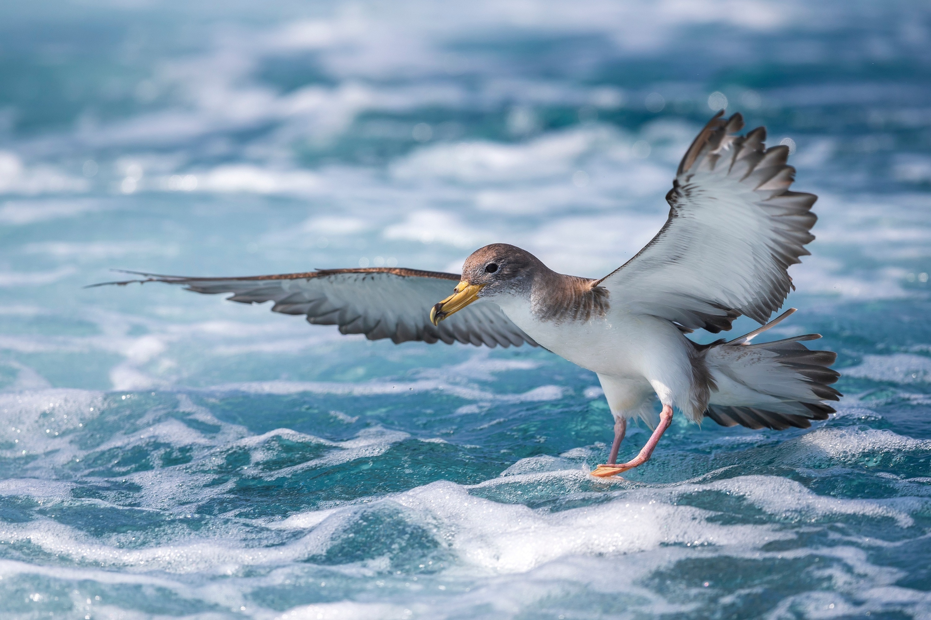 l' immagine sfocata di un edificio con il logo travelife