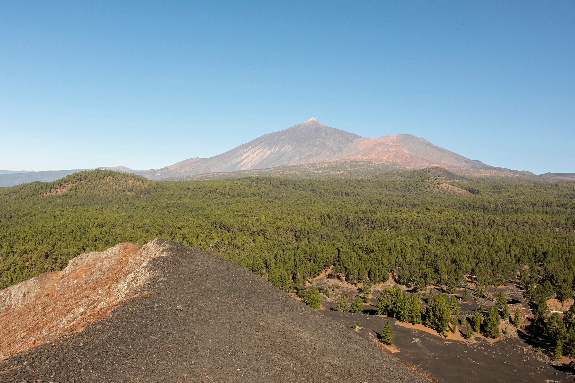 
                                    un volcán en la distancia con un bosque en primer plano