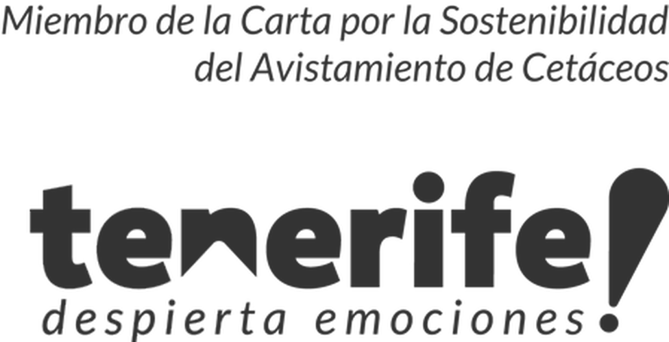 a white tenerife logo on a black background