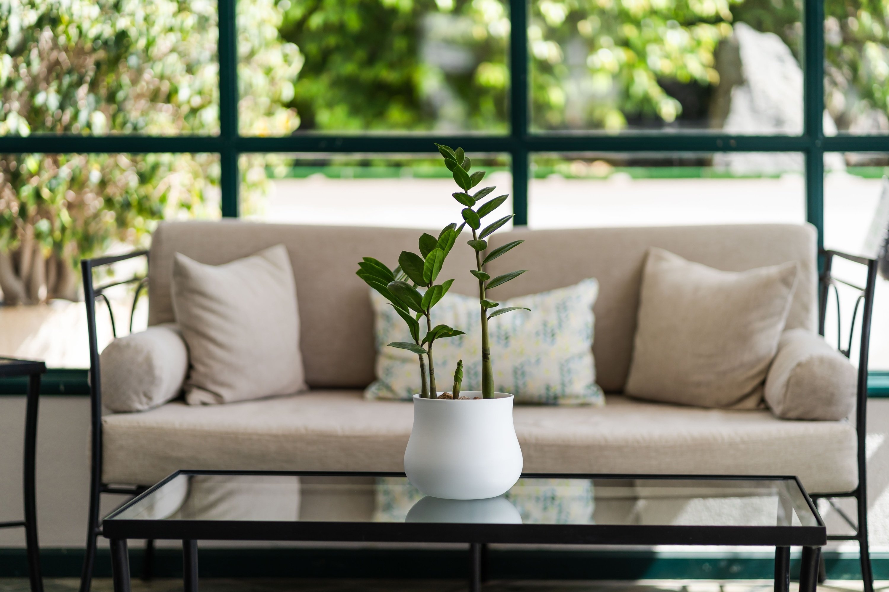 una hoja en forma de corazón está en la playa