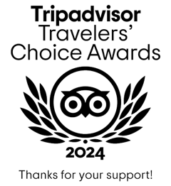 el logotipo de la elección de los viajeros de tripadvisor para el año 2021 .