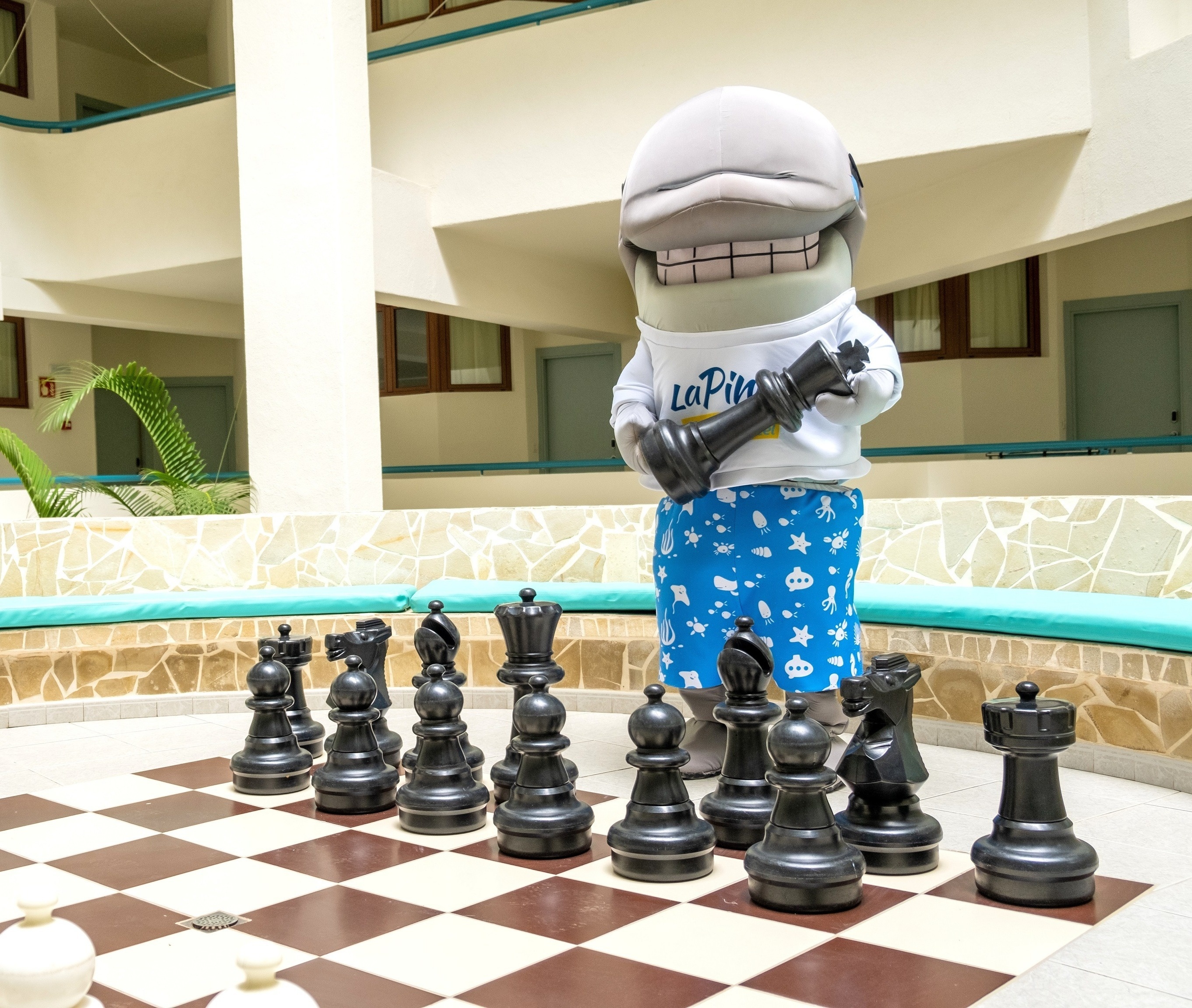 una vista aérea de una playa y el océano