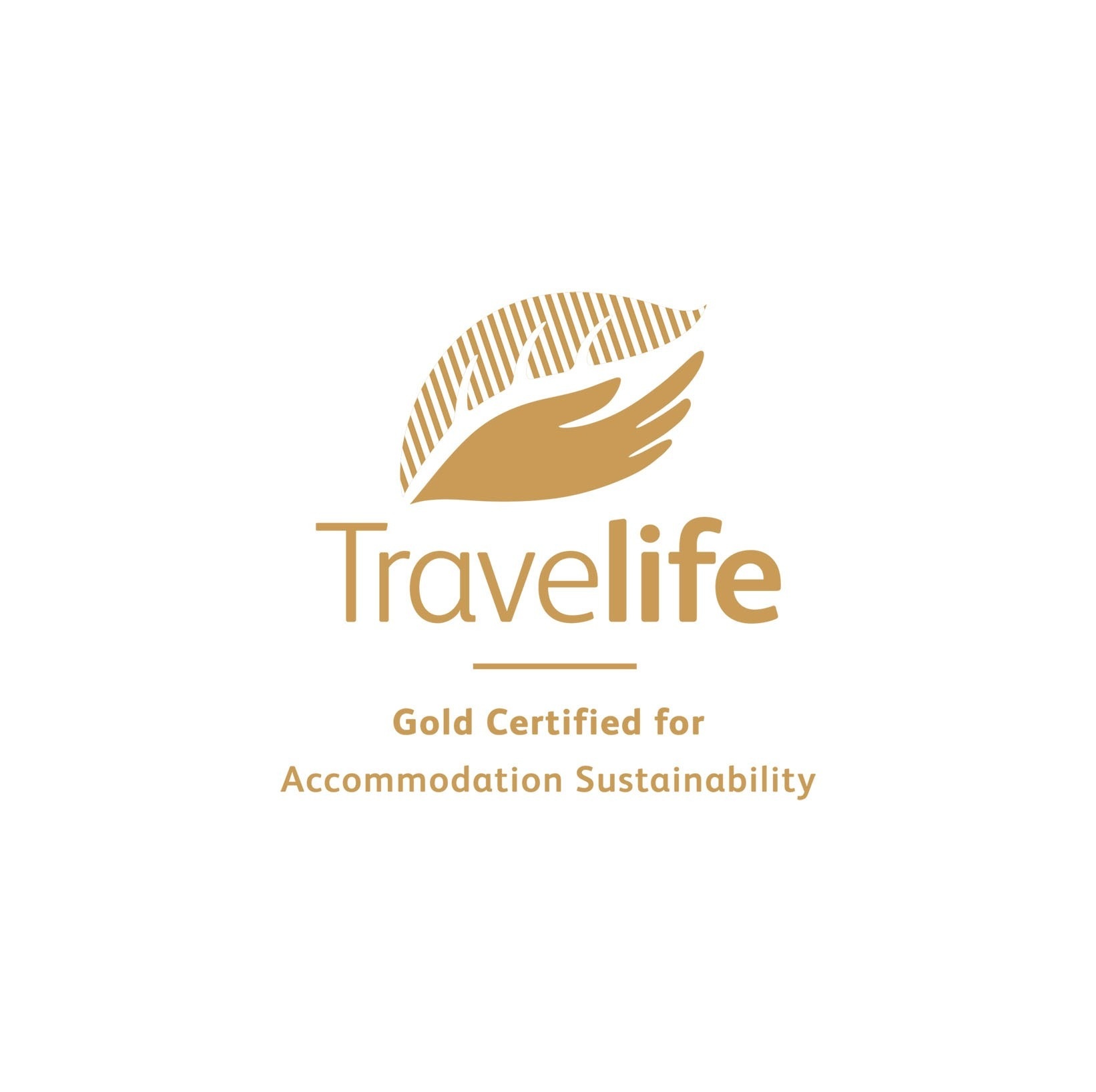 una bebida roja con una pajita en la playa