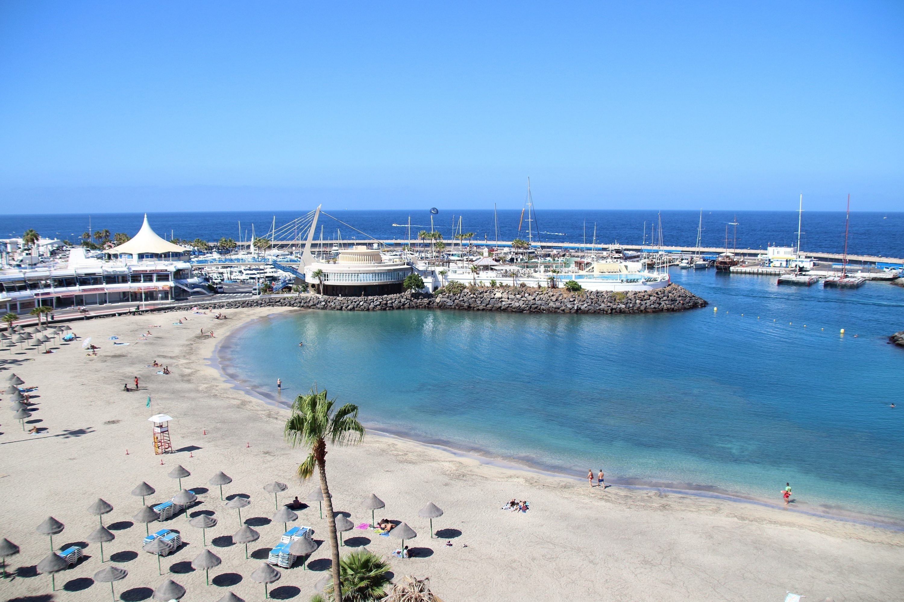 una playa con palmeras en la colina al fondo