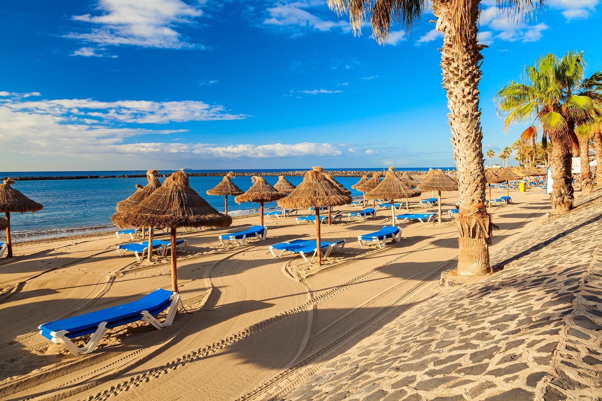 
                                    una playa con sillas azules y sombrillas de paja