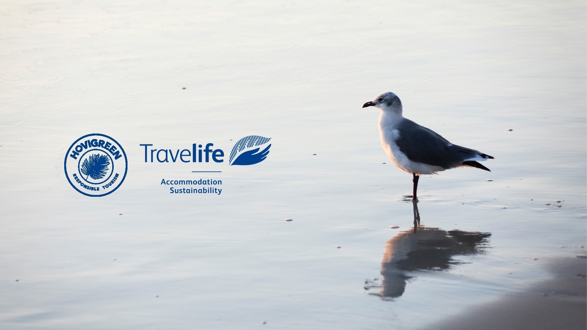 un edificio blanco con una vista del océano en el fondo
