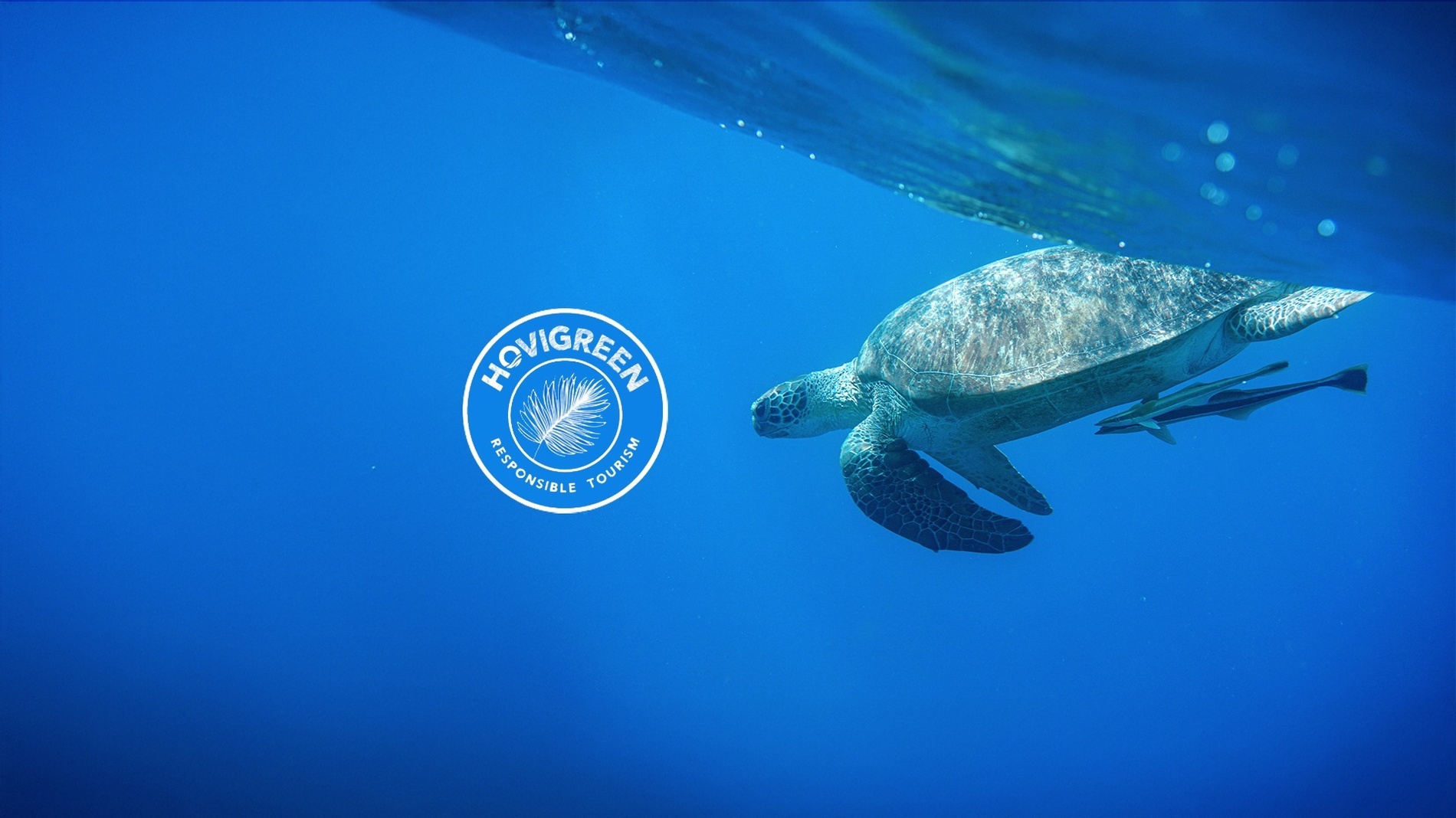 un groupe de bâtiments blancs avec une vue sur l' océan