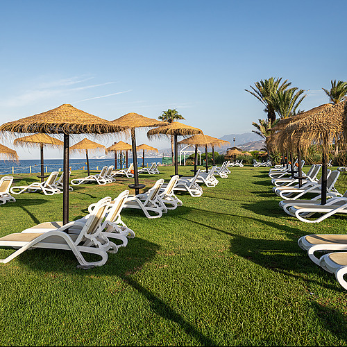 Ambiente relajado con mesas de mimbre, platos decorativos y barra de bar para disfrutar Impressive Playa Granada
