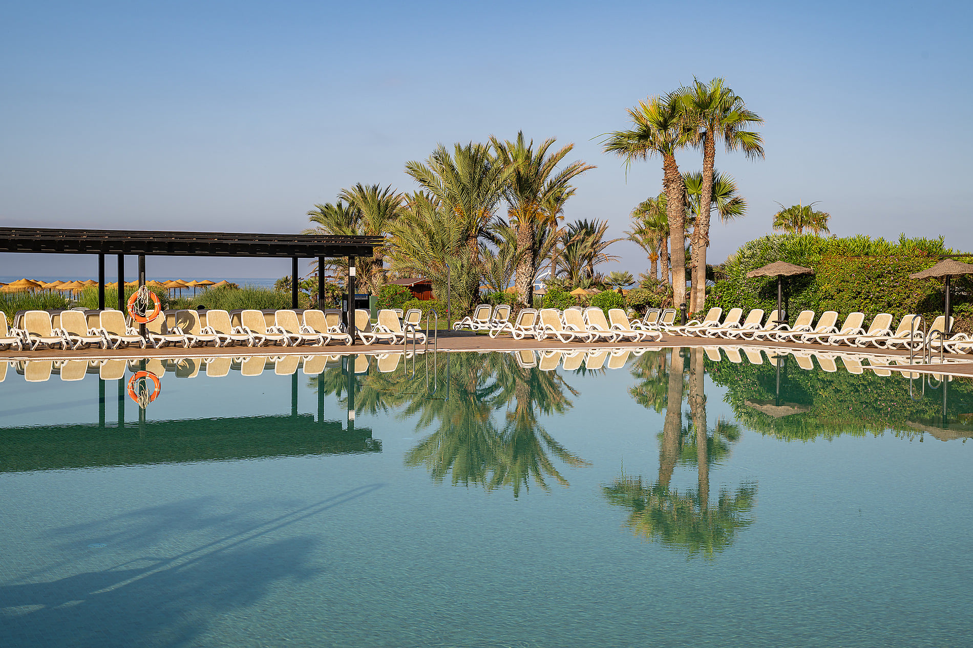 Conoce el resort en imágenes | Impressive Playa Granada Golf: piscina infinita con tumbonas y palmeras, ideal para unas vacaciones de lujo.