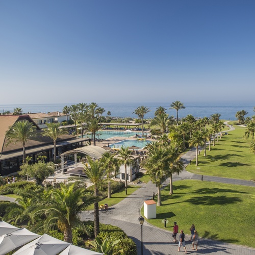 an aerial view of a large swimming pool surrounded by palm trees