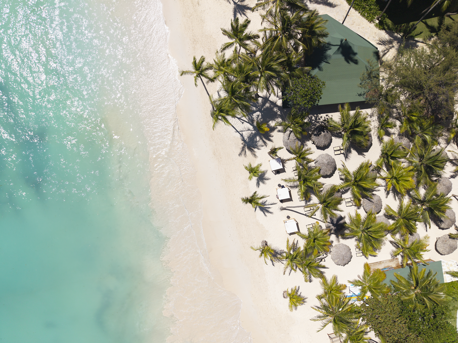 Impressionnant Royal Punta Cana : plage de rêve avec chaises longues et palmiers.