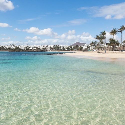 Türkiser Strand mit Palmen und hellem Wasser bei Impressive Zocos Lanzarote.