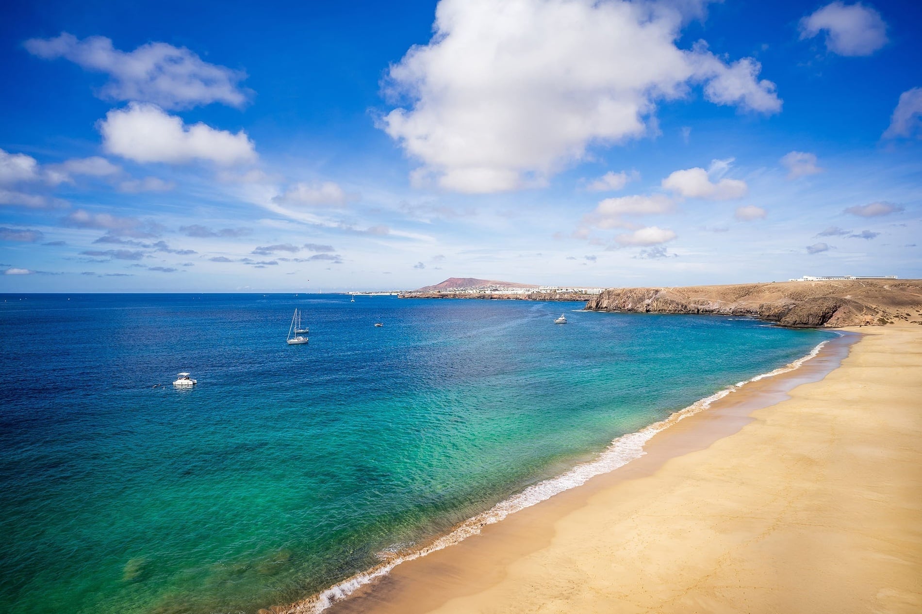 eine Luftaufnahme eines Strandes mit vielen Sonnenschirmen