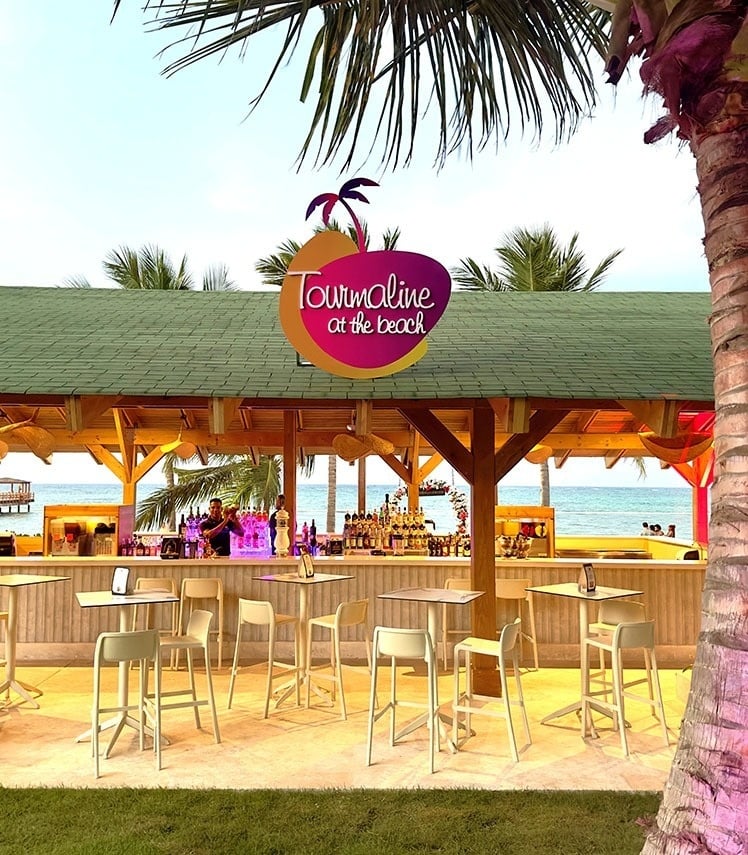 una playa con un árbol y un barco en el fondo
