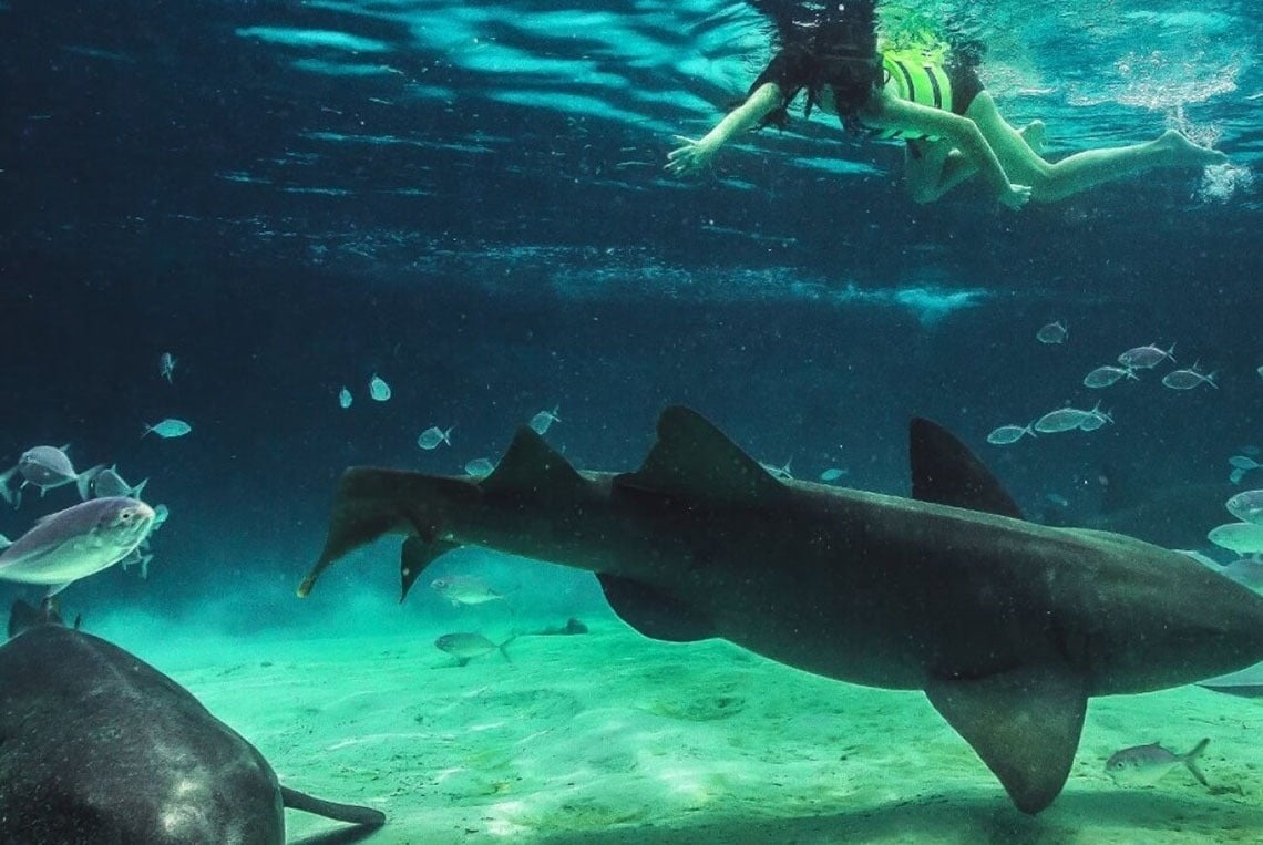 ein Mann und eine Frau spielen mit einem Volleyball am Strand