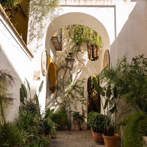 Courtyard of a hotel in the Juderia of Sevilla, filled with lush plants and traditional architecture.