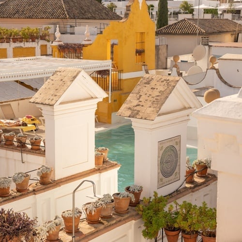 Rooftop pool with potted plants overlooking historic Juderia: Sevilla architecture.