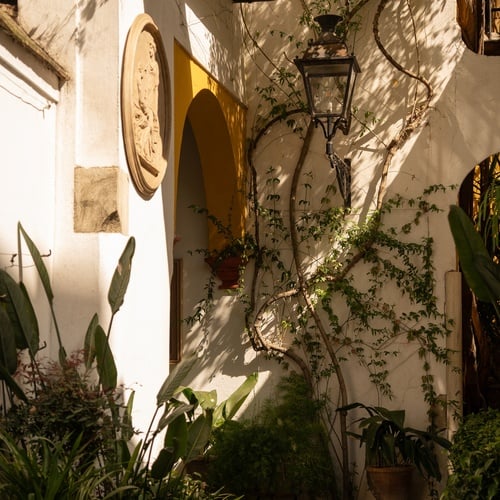 Charming Juderia courtyard in Sevilla: an outdoor lantern, plants, and an arched entryway.