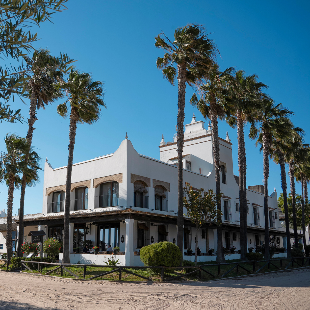 un edificio blanco rodeado de palmeras y un cielo azul