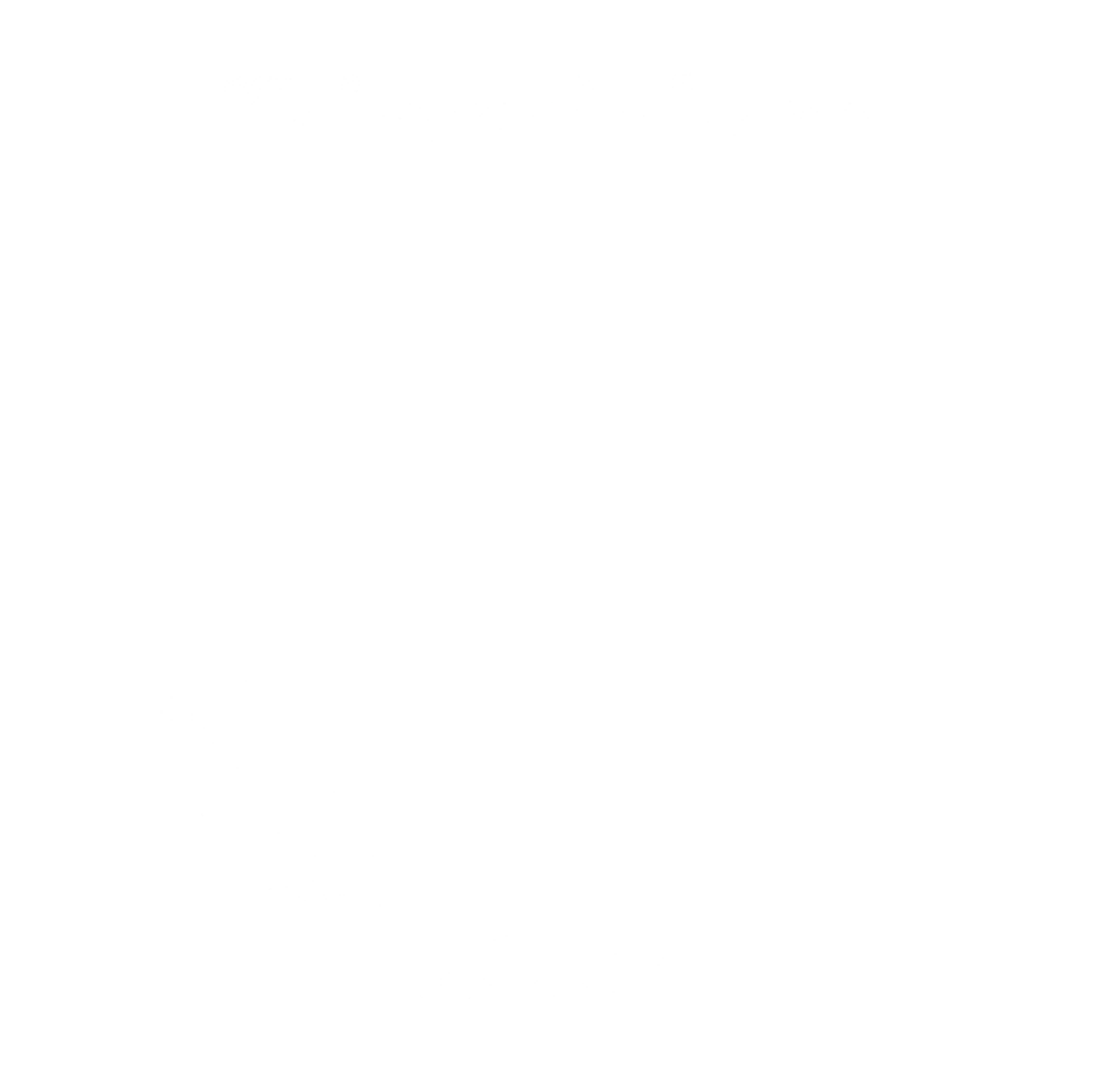 a white logo for the tripadvisor travelers choice awards