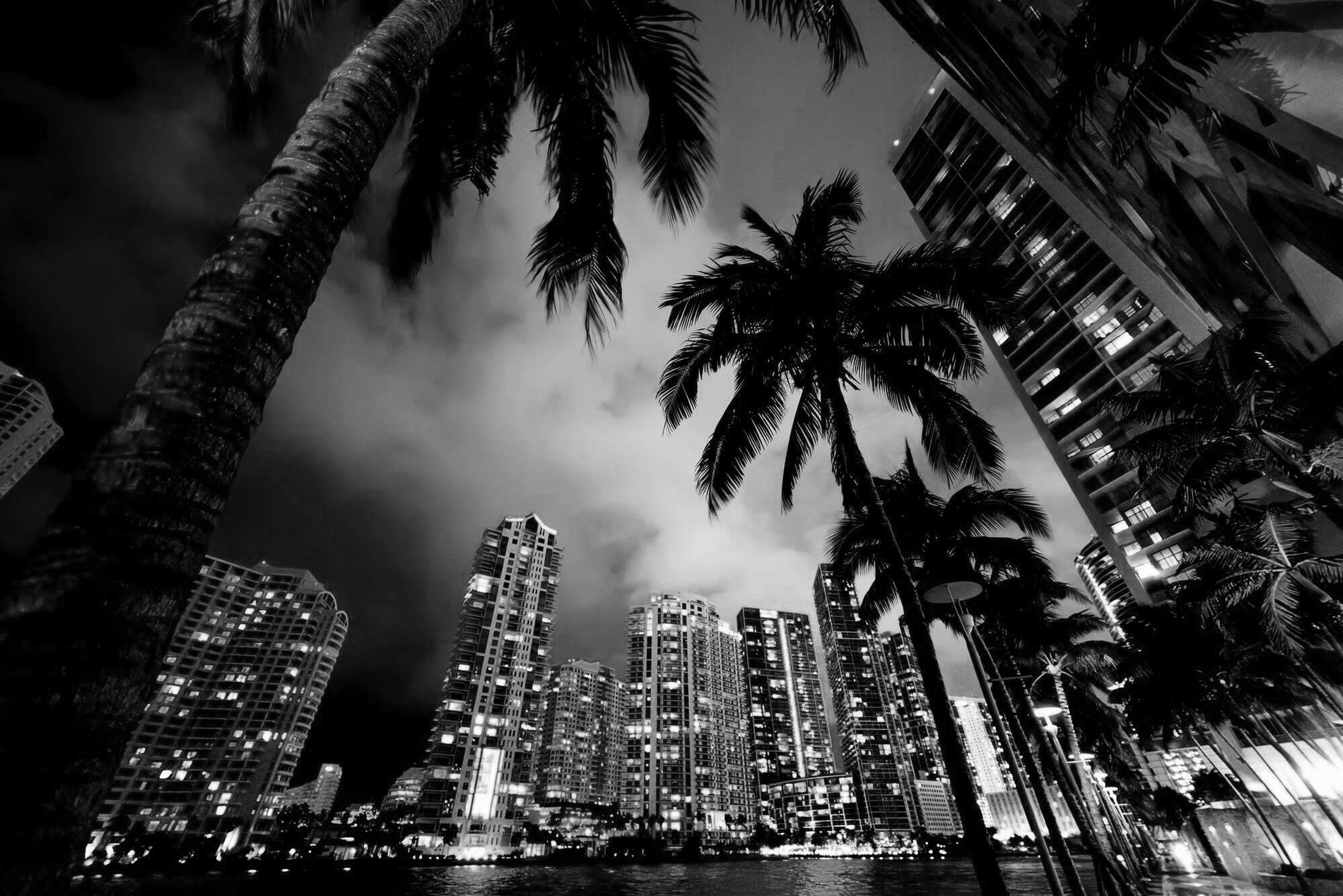 a black and white photo of a city with palm trees in the foreground=s1900