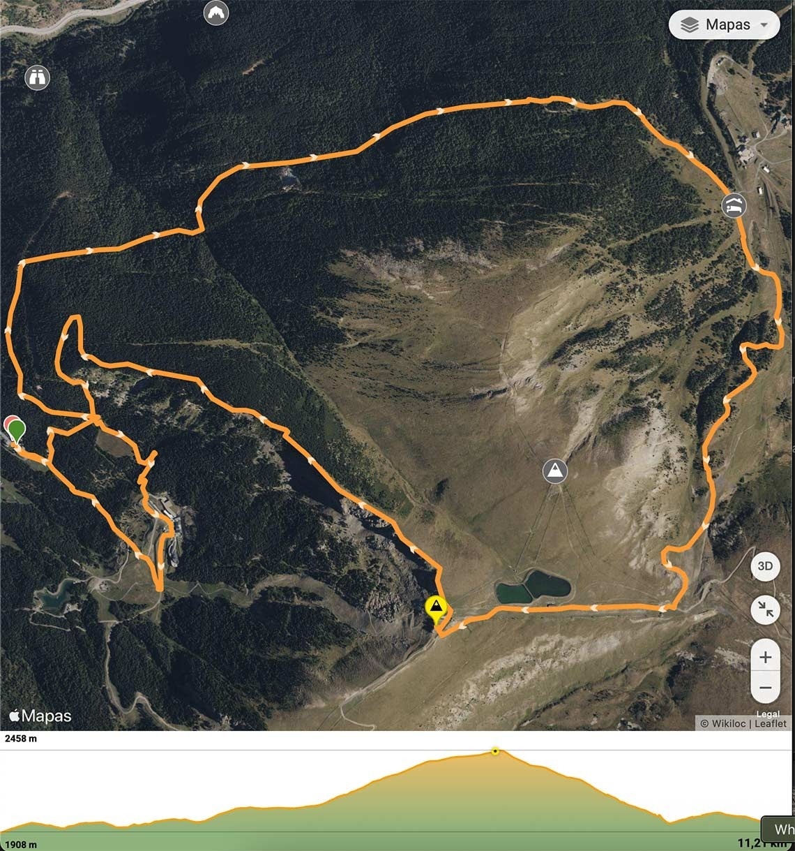 un home i una anciana amb mochilas caminant a través d' un bosquet