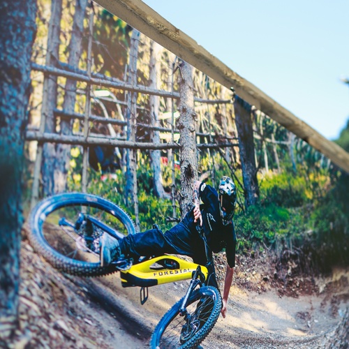 una persona en una bicicleta amarilla amb la imatge d' un arbre al fons