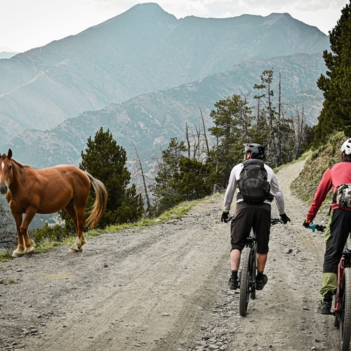un grup de ciclistes i un cavall a la ruta