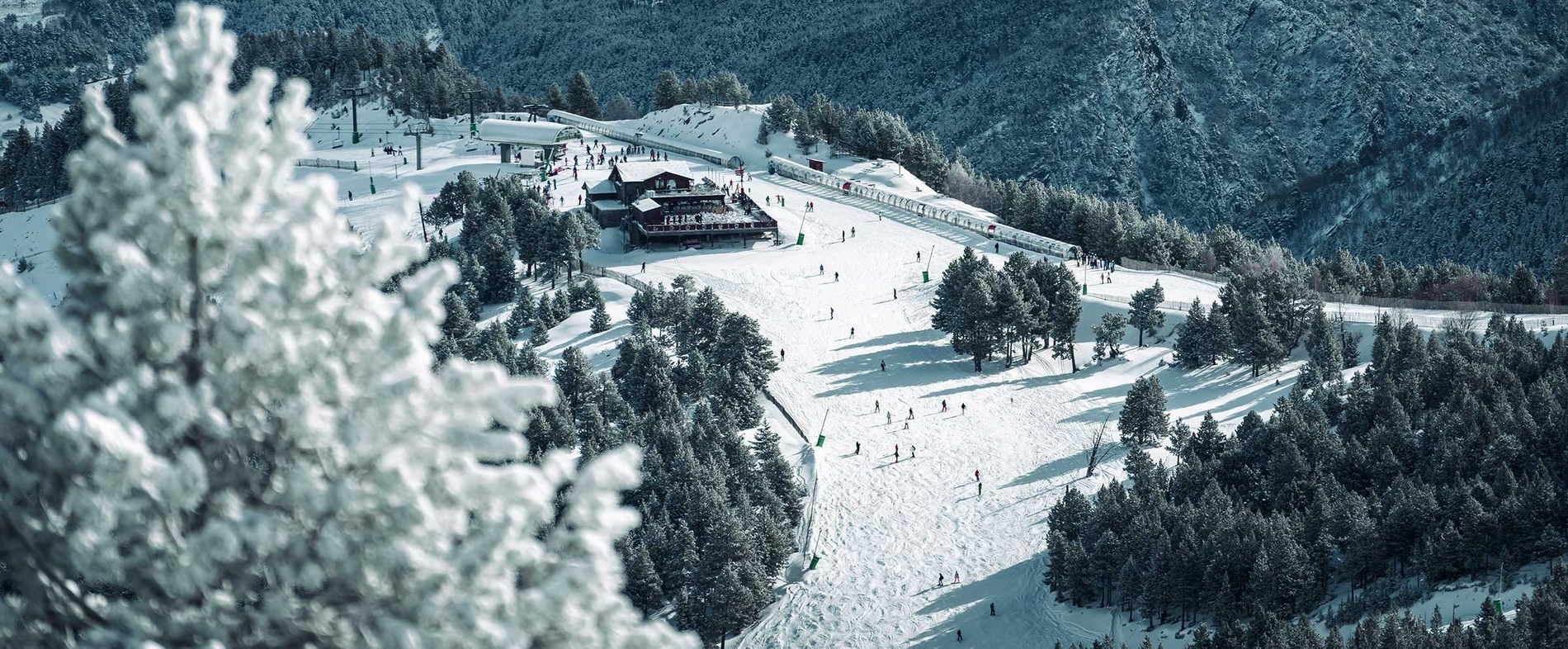 un homme et une femme marchent dans une forêt avec des bâtons de marche