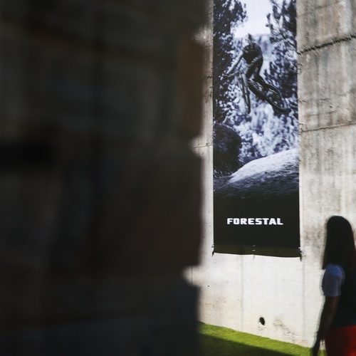 una imatge de l' esportista forestal a l' aire