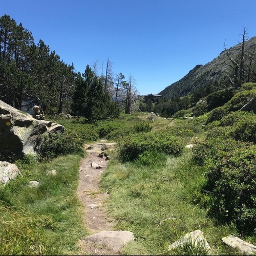 un sentier de montagne traverse un champ herbeux avec des rochers et des arbres