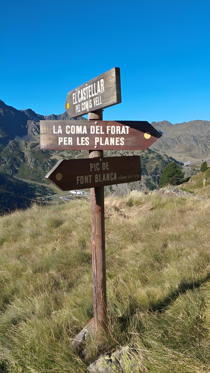 un home i una anciana amb mochilas caminant a través d' un bosquet