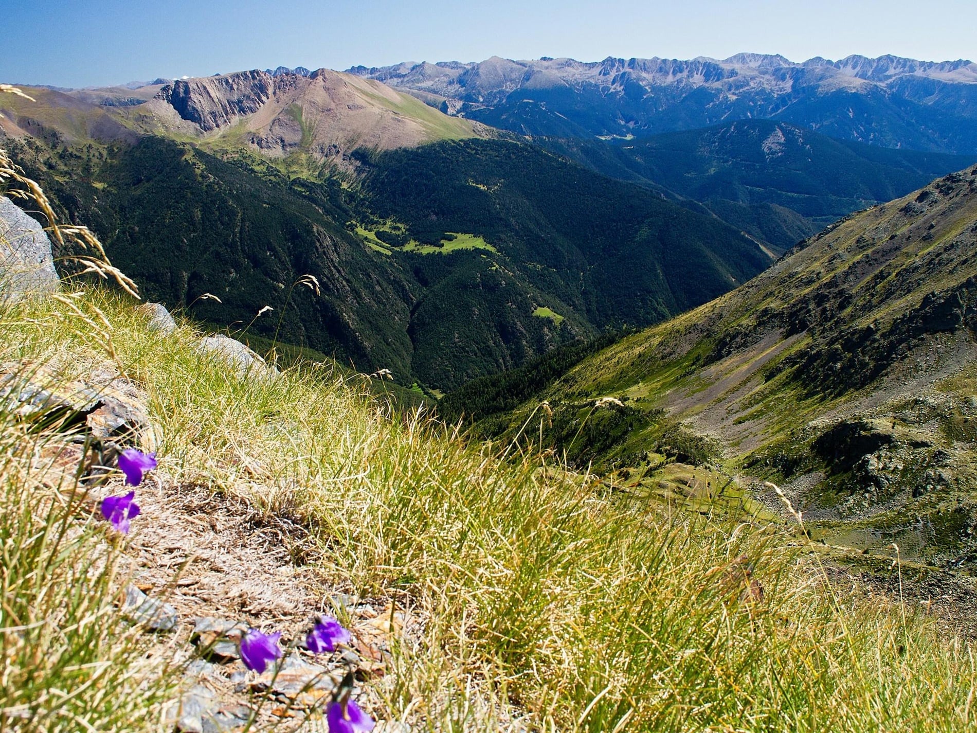 Impresionante paisaje de montaña: valles verdes, bosques frondosos y picos.