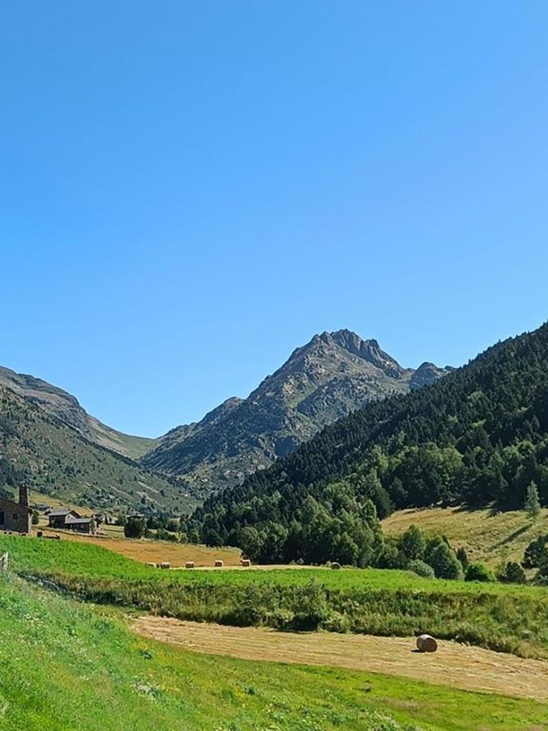una persona amb una mochila a la cabeza y los brazos abiertos