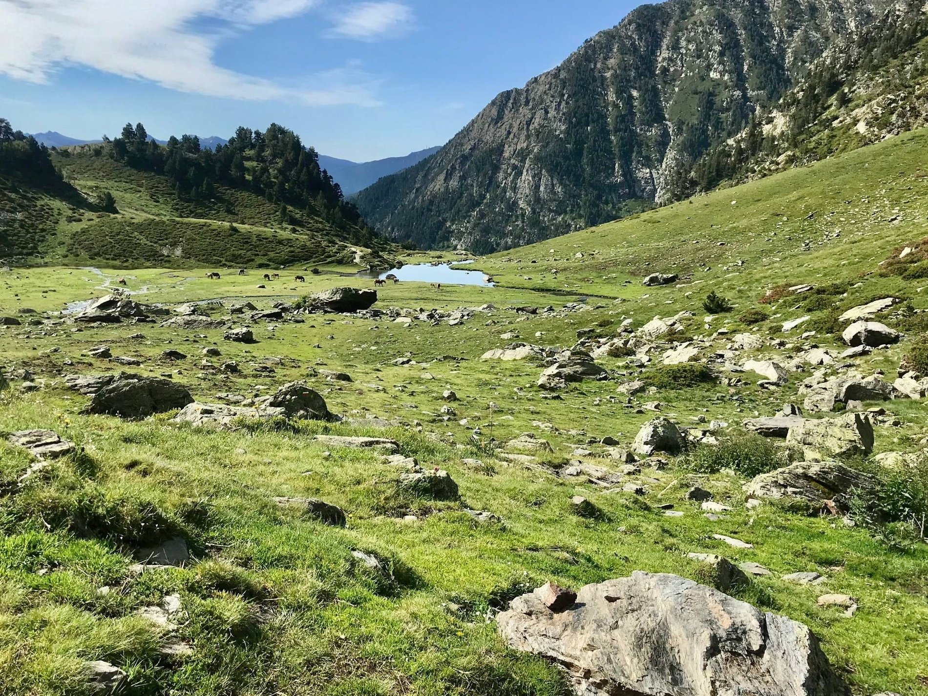 dues persones van a l' altura de la montagna