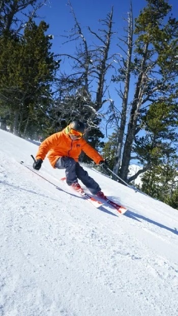 Skier carving turns on a sunny, snowy mountain slope surrounded by trees.