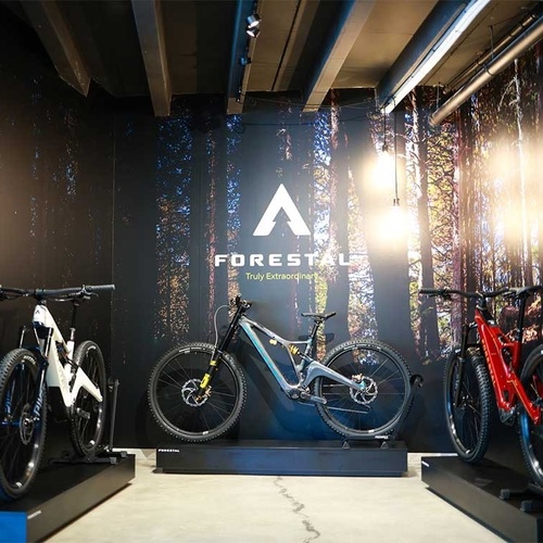 tres bicicletes a l' exposició en un saló forestal