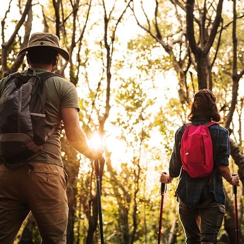 un hombre y una mujer con mochilas caminan por un bosque