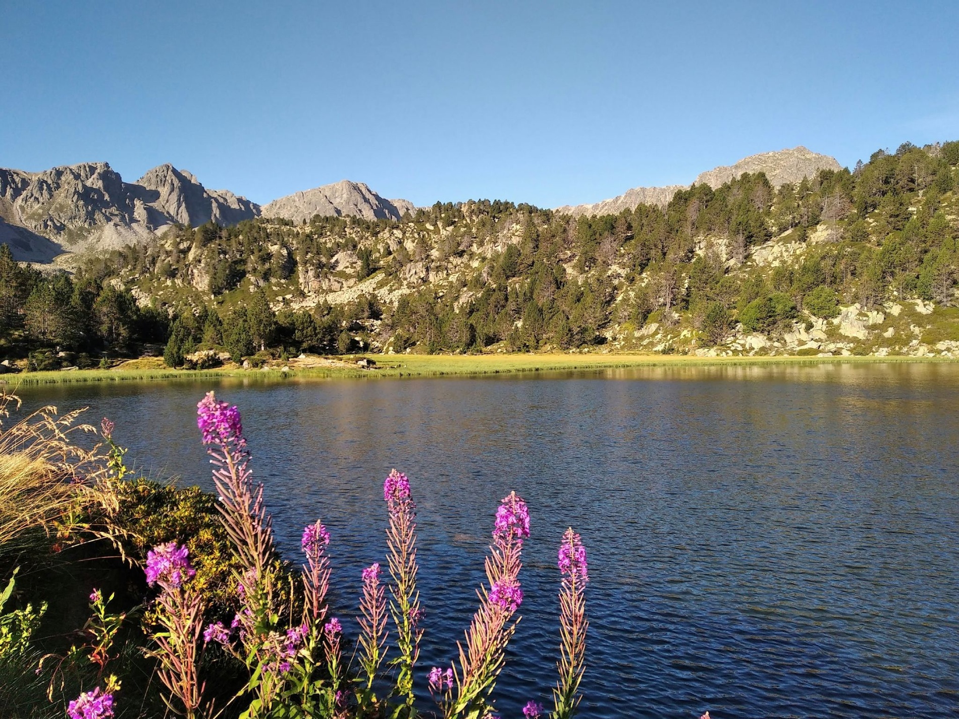 Lago de montaña en Andorra en primavera verano
