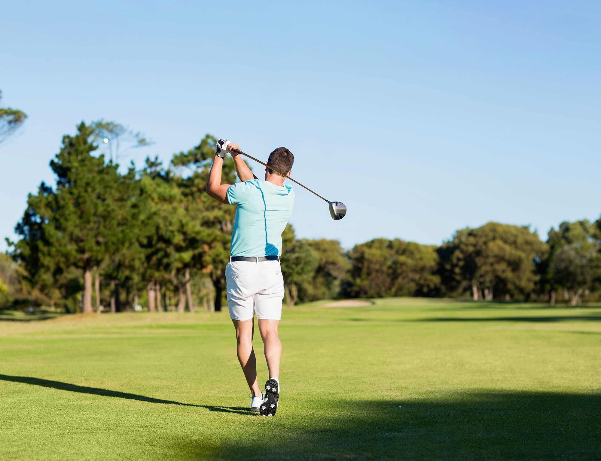 Royal River Luxury Hotel - Tenerife - Experiencia gastronómica The Top Brasserie