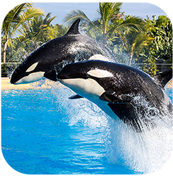 une aire de jeux colorée avec un toboggan rose au milieu